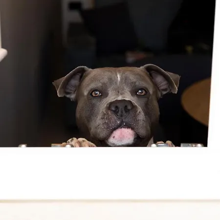 - Palais Hoertenberg アパートホテル ボルツァーノ