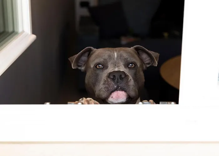 - Palais Hoertenberg Aparthotel Bolzano